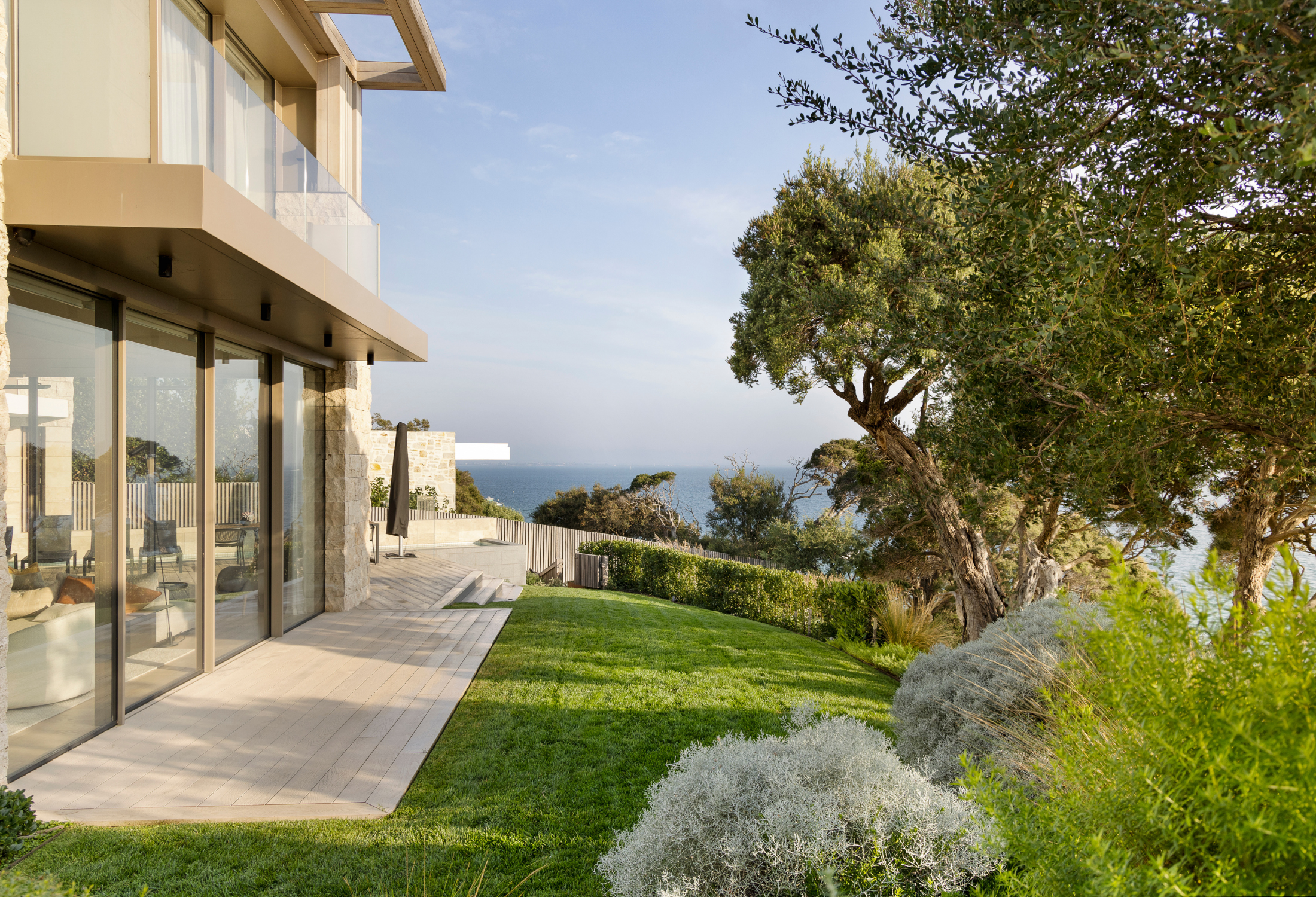 Best Trees for Coastal Gardens: 14 Salt-Tolerant Picks for Australian Coastal Conditions