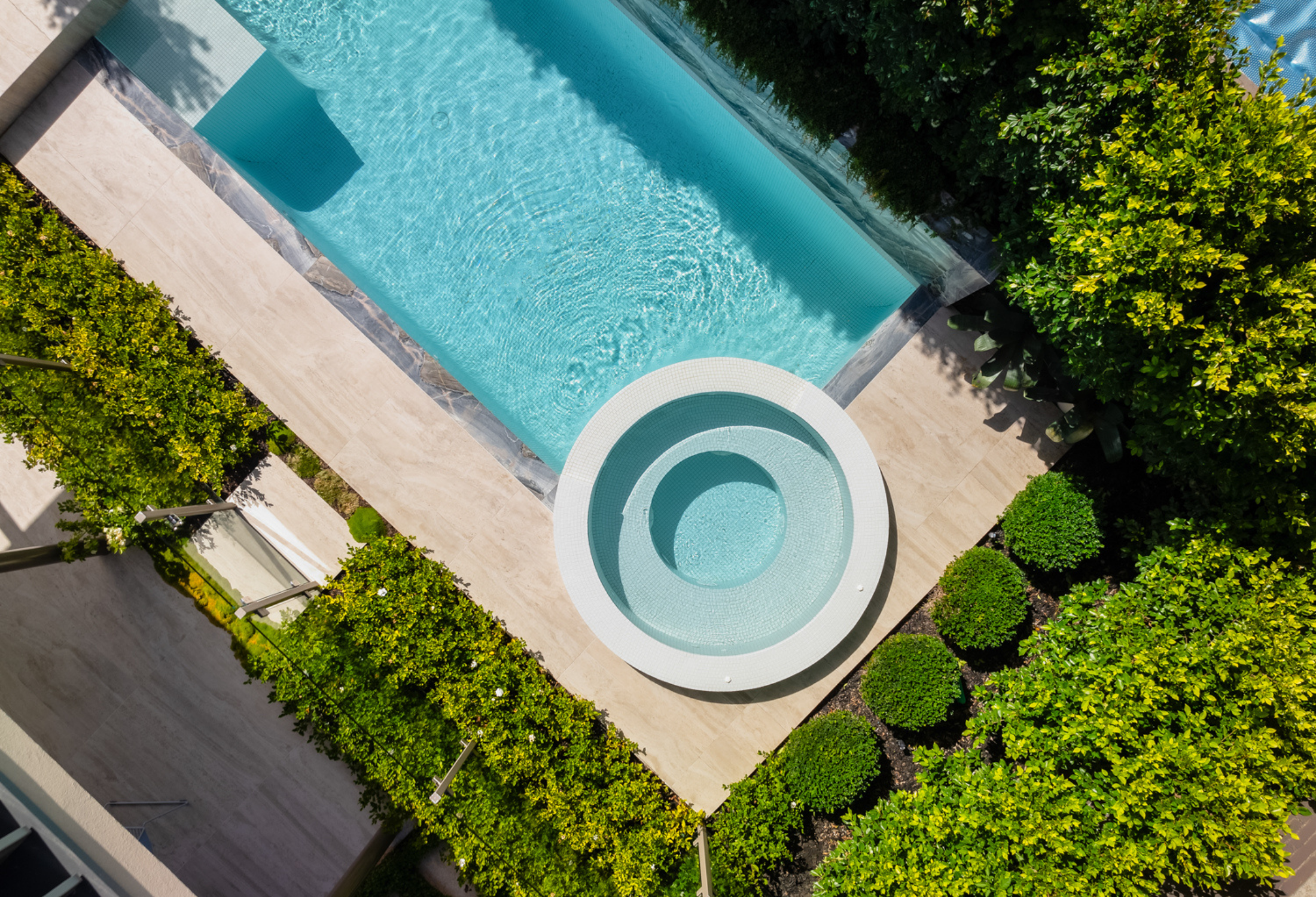 10 Evergreen Trees That Won't Fill Your Pool with Leaves
