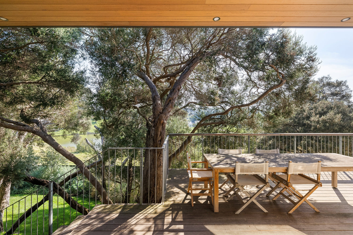 The Best Australian Native Trees for Modern Native Gardens