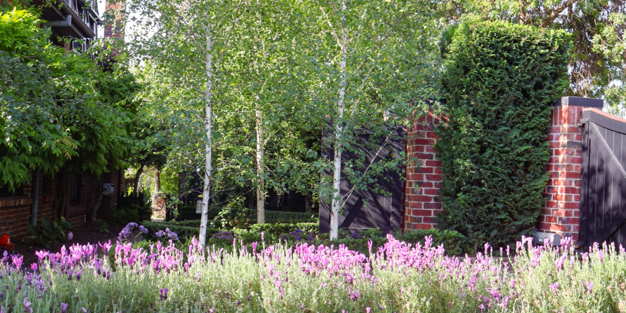Best Trees for Frost-Prone Areas: 10 Picks That Thrive in Cold Australian Gardens