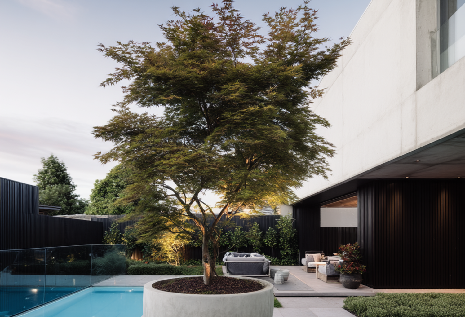 The Best Trees to Plant in Pots