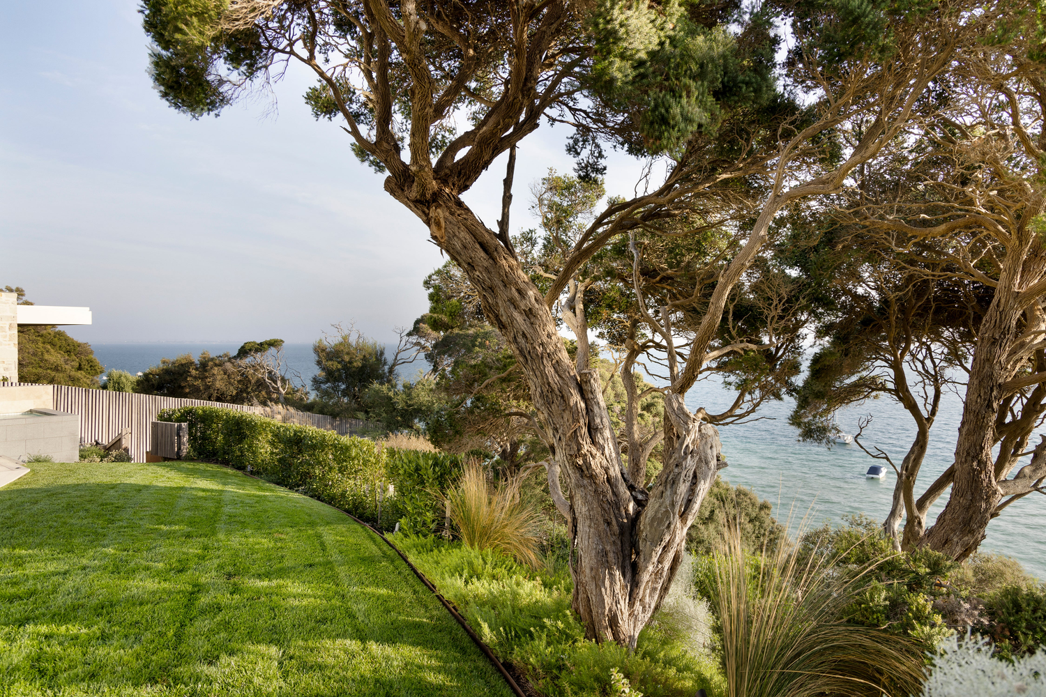 Coastal-Tolerant Garden Trees