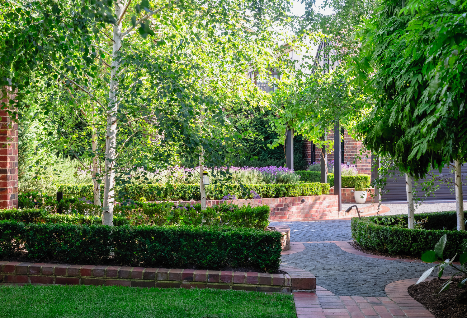 Esplanade Feature Trees