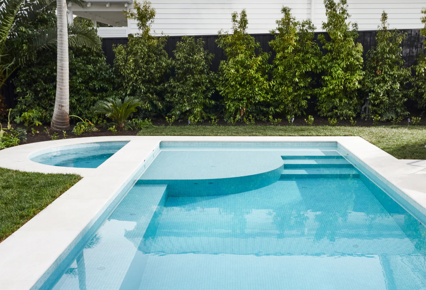 Waterhousea floribunda