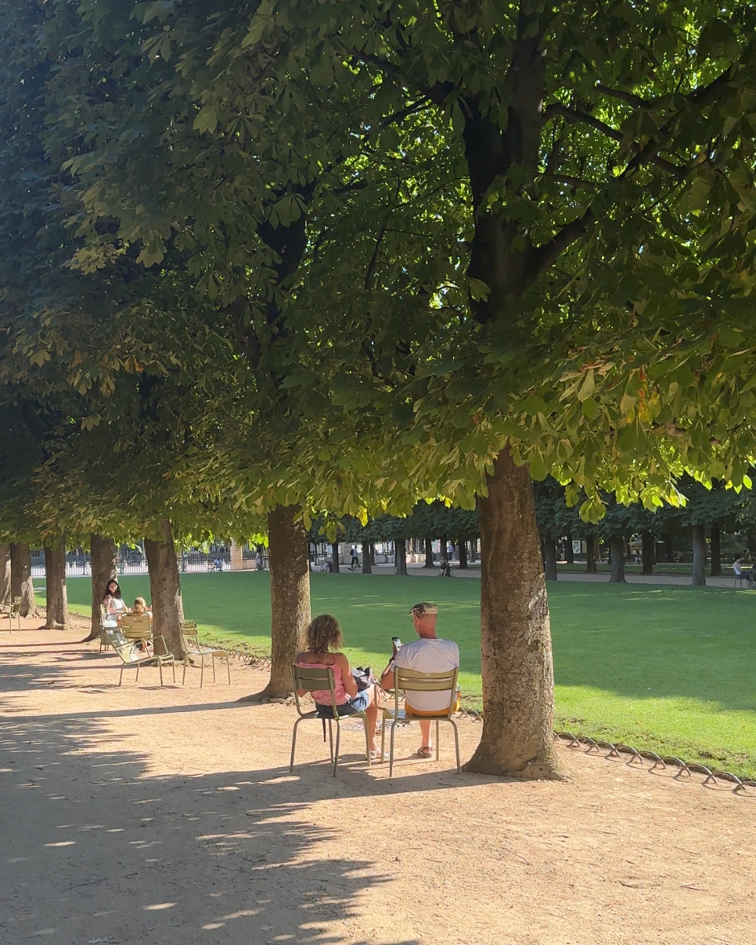 Tilia cordata 'Greenspire’