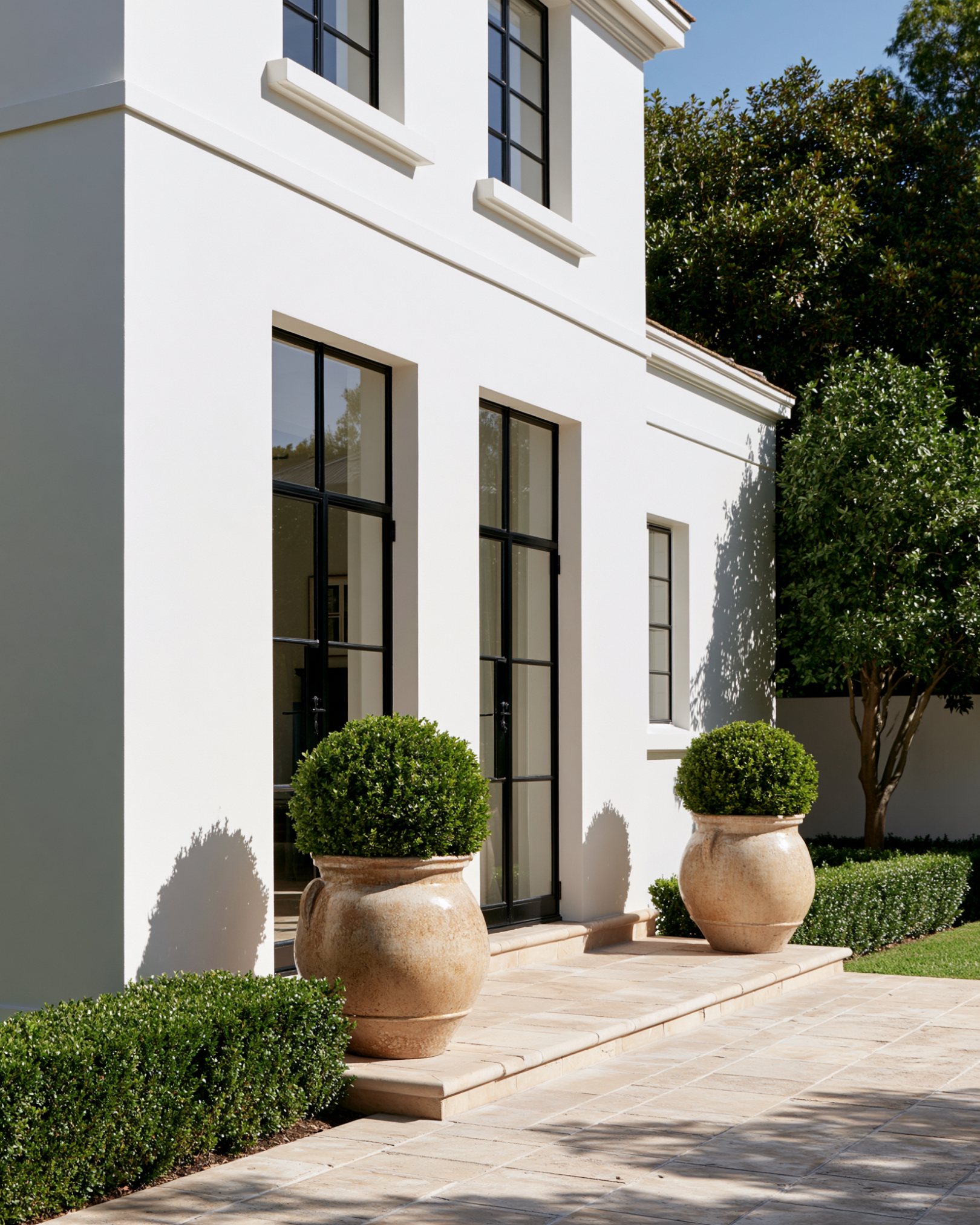 Buxus sempervirens English Box Topiary Balls