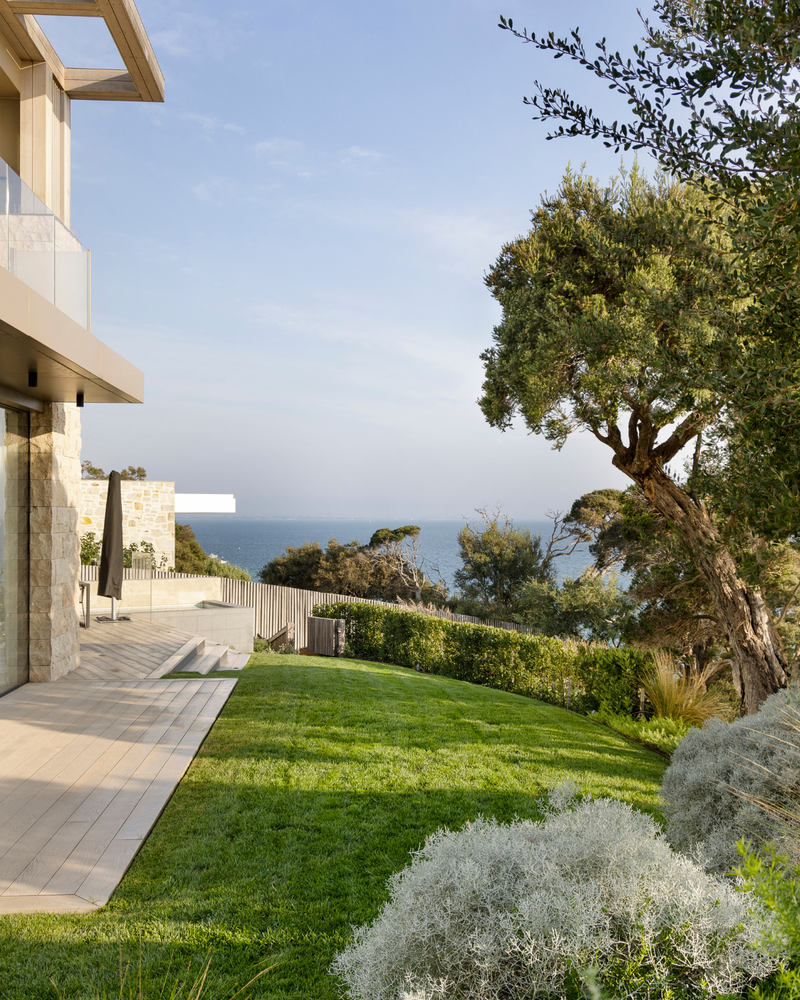 Best Trees for Coastal Gardens: 14 Salt-Tolerant Picks for Australian Coastal Conditions