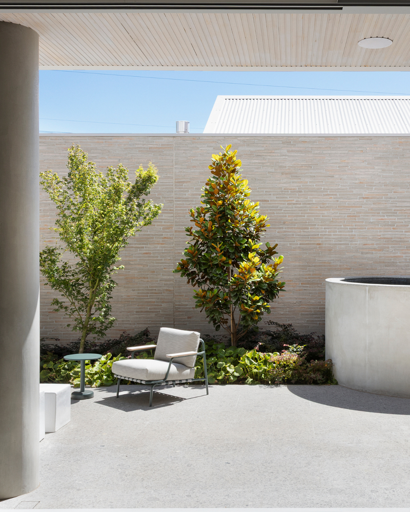 Best Trees to Enhance Your Courtyard: 12 Picks for the Australian Courtyard Garden