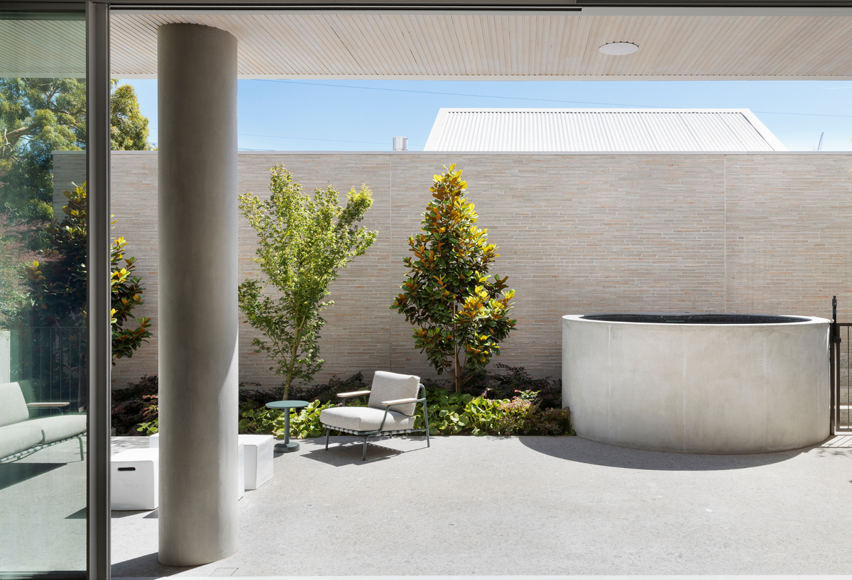 Best Trees to Enhance Your Courtyard: 12 Picks for the Australian Courtyard Garden