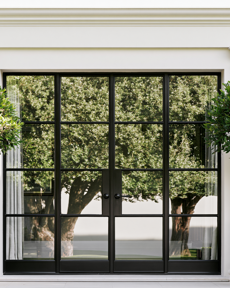 Best Trees to Plant in a Pot: Our 12 Top Recommendations