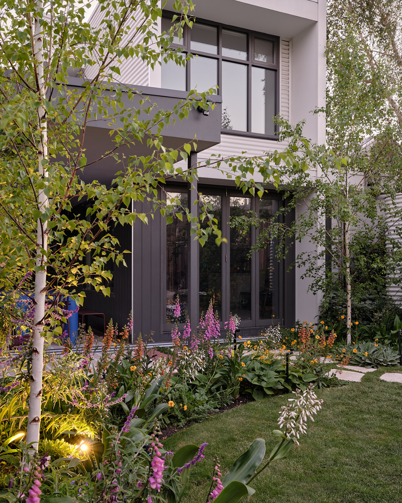 Creating a Woodland Garden: 8 Picks to Build the Layered Canopy, Understorey and Floor