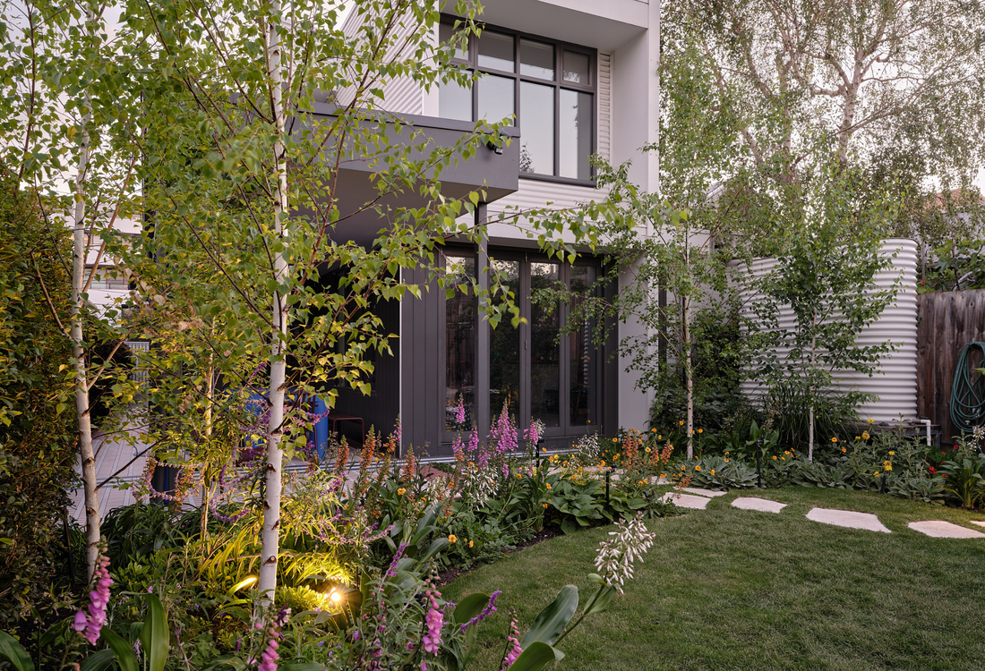 Creating a Woodland Garden: 8 Picks to Build the Layered Canopy, Understorey and Floor