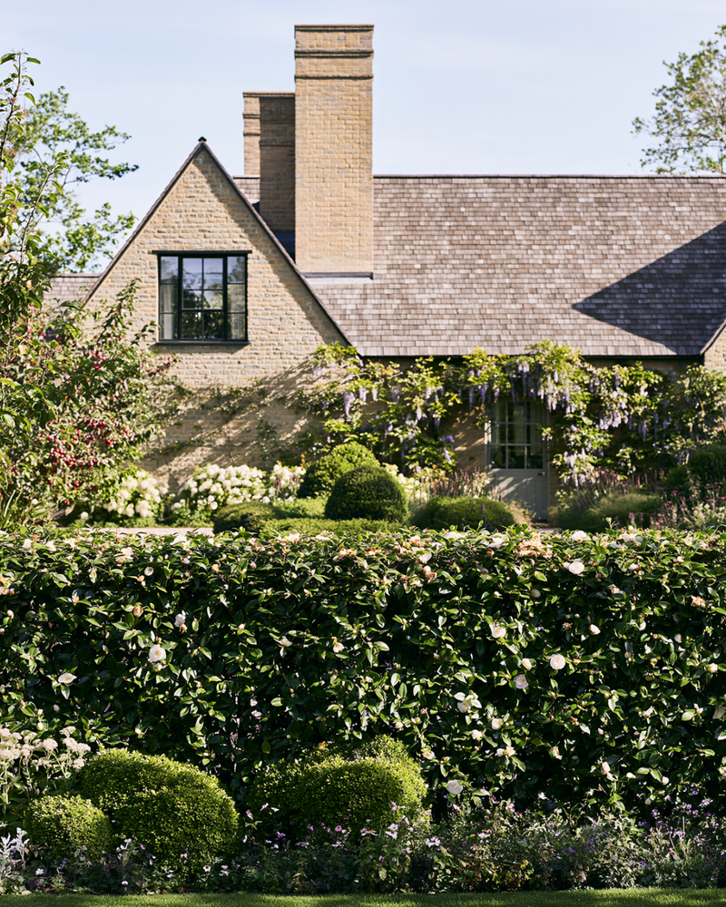 Top Trees for Creating a Cottage Garden Look: 14 Picks for English Romantic Charm
