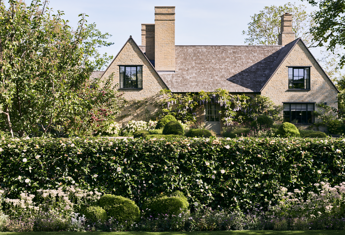 Top Trees for Creating a Cottage Garden Look: 14 Picks for English Romantic Charm