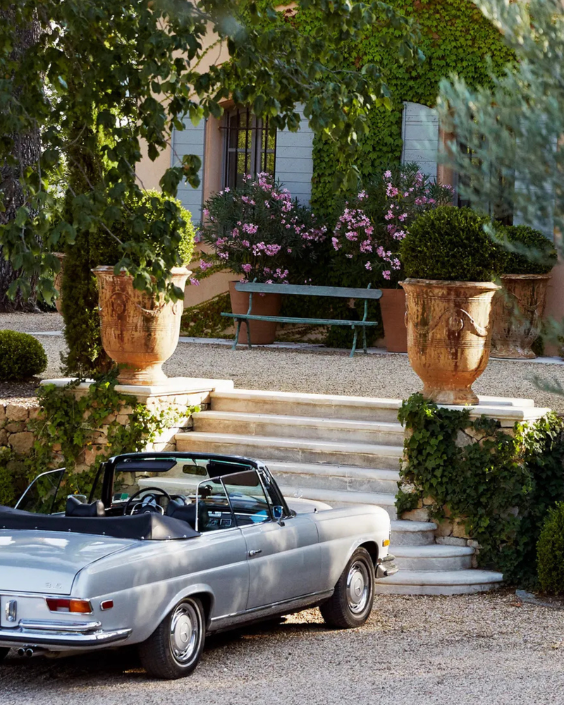 Selecting the Best Trees for a Mediterranean Garden: 17 Picks for Tuscan, Italianate and Greek Island Style