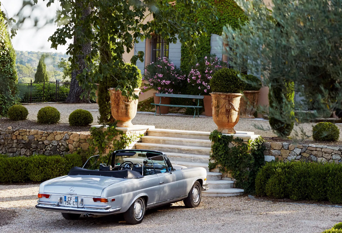 Selecting the Best Trees for a Mediterranean Garden: 17 Picks for Tuscan, Italianate and Greek Island Style