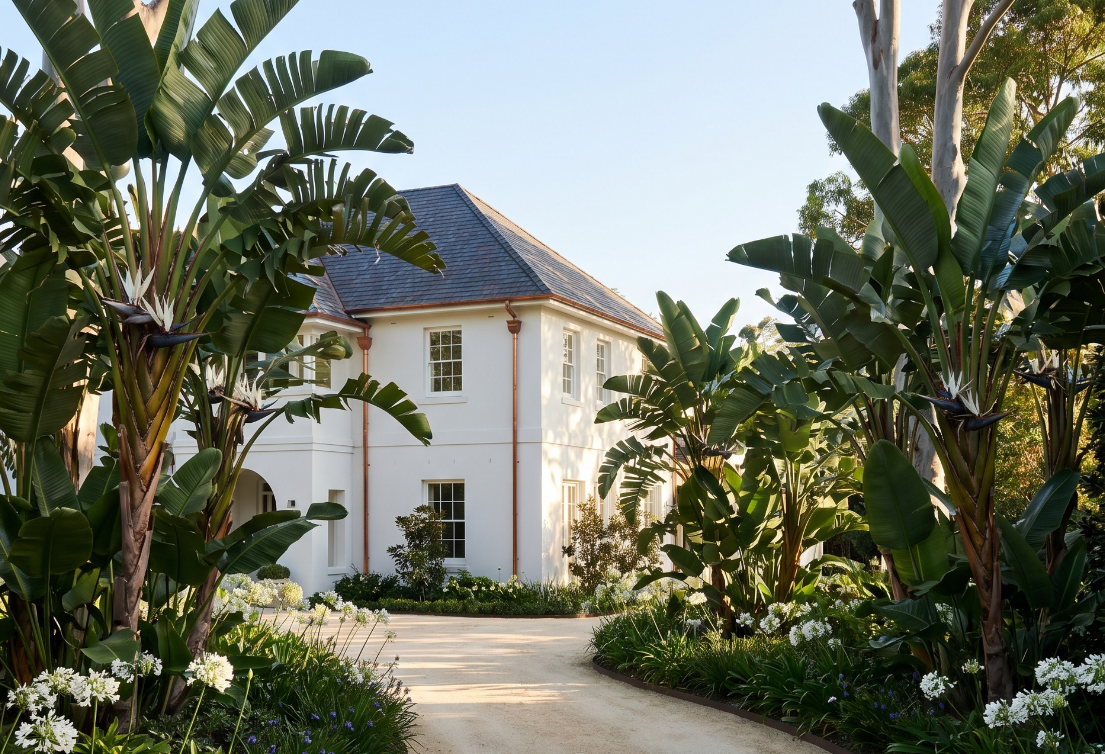 Top Trees for Creating Tropical Vibes: 16 Picks to Turn Your Garden Into a Holiday