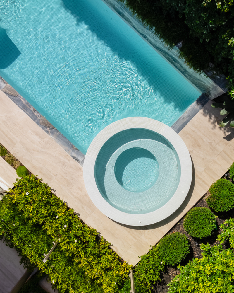 10 Evergreen Trees That Won't Fill Your Pool with Leaves