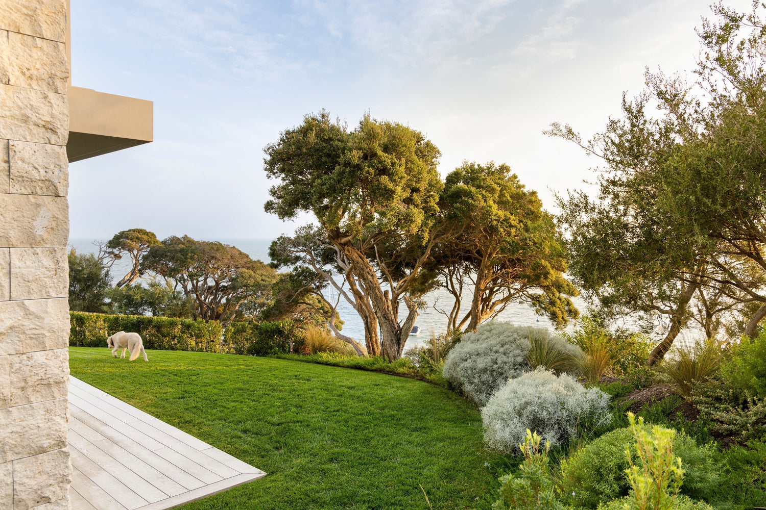 Mornington Peninsula Coastal Garden