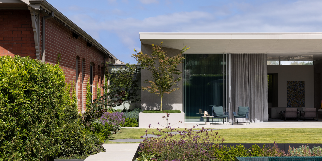 The Best Trees to Plant in Pots