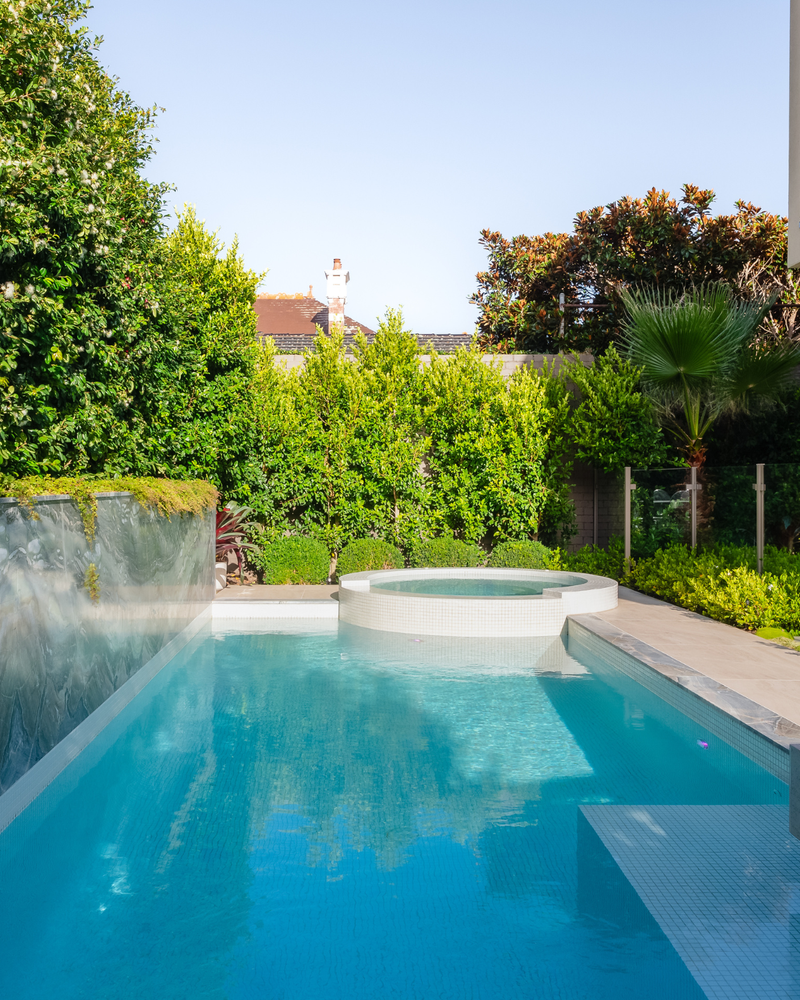 5 Trees for a Stunning Summer Garden