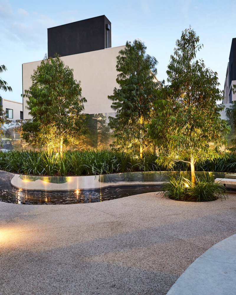 Evergreen Trees Direct Supplies Trees for Award-Winning Alphington Display Suite