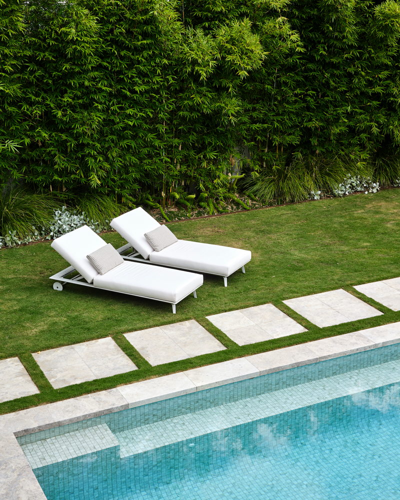 Best Trees to Plant Poolside: 13 Tropical Picks for a Resort Vibe