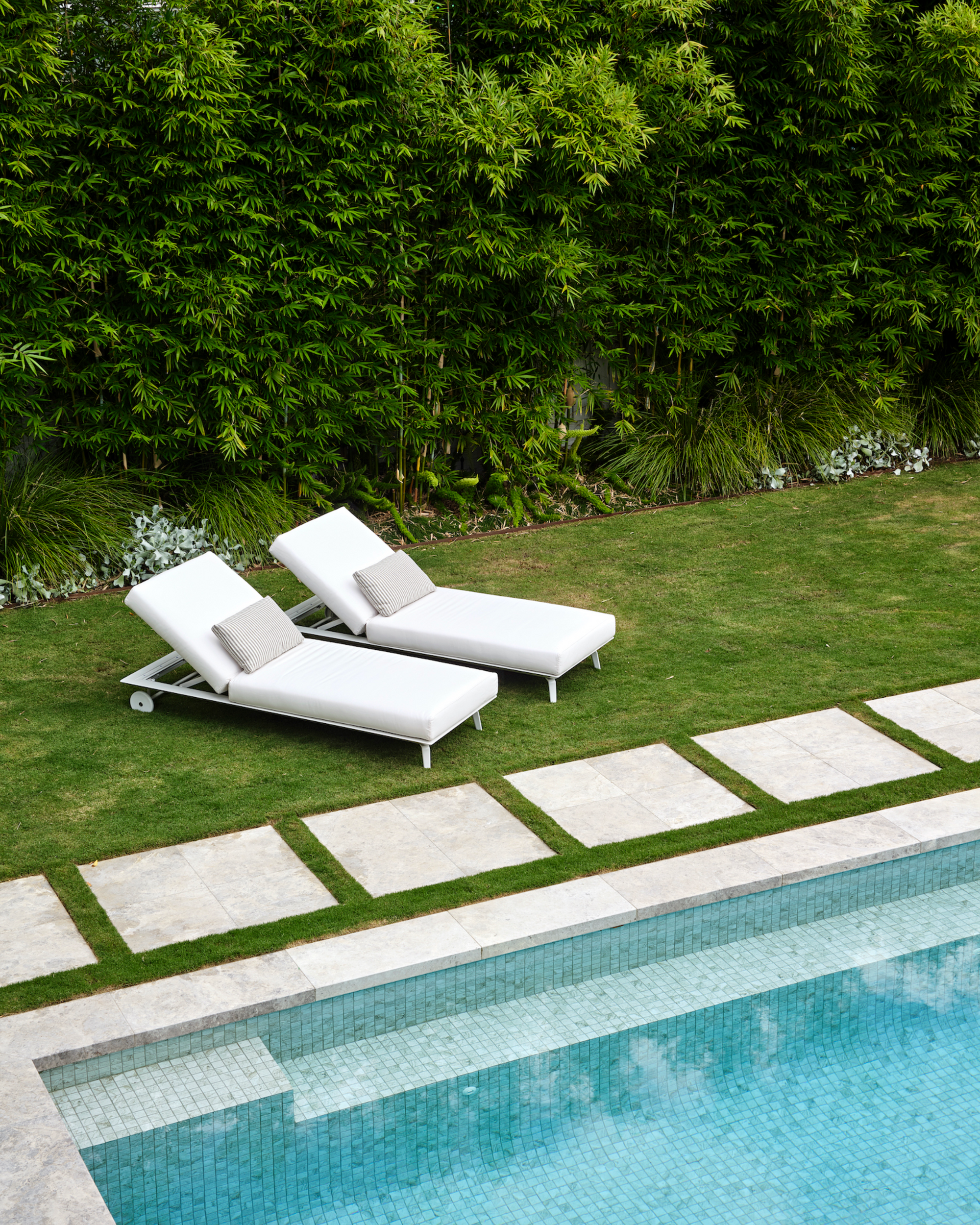 The Best Trees To Plant Poolside