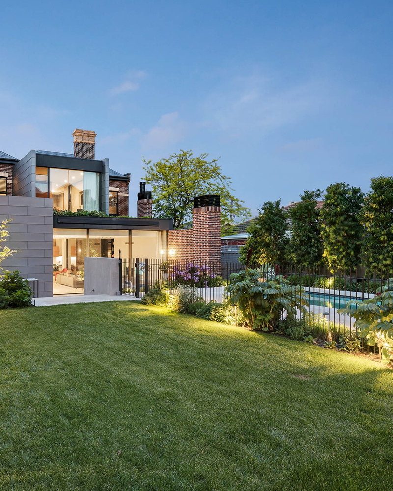Best Trees for Creating a Privacy Screen: 10 Picks Across Fast Formal, Native and Narrow Column Options