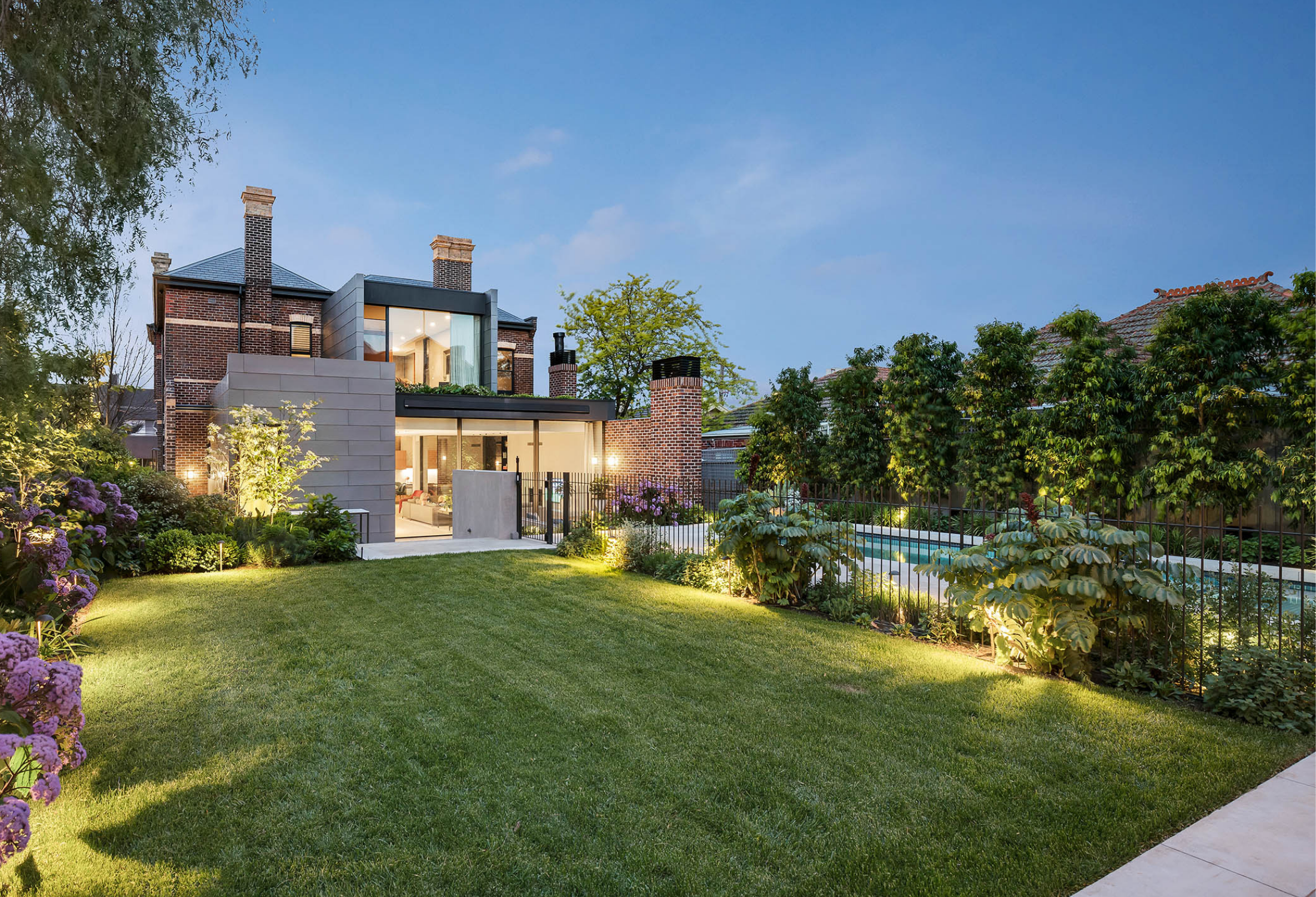 Best Trees for Creating a Privacy Screen: 10 Picks Across Fast Formal, Native and Narrow Column Options