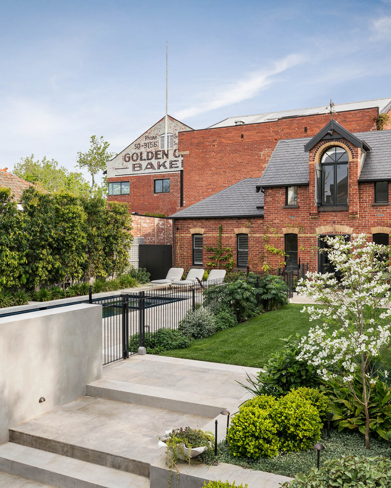 Best Trees for Privacy: Our Top 9 Hedging Picks