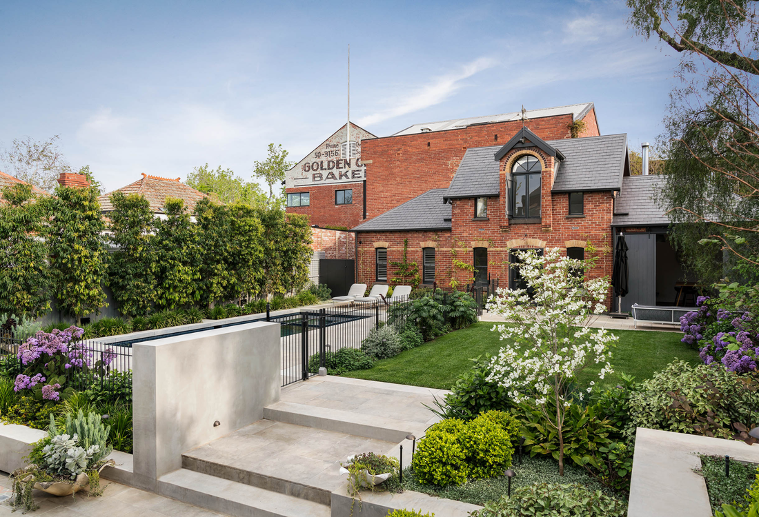 Best Trees for Privacy: Our Top 9 Hedging Picks