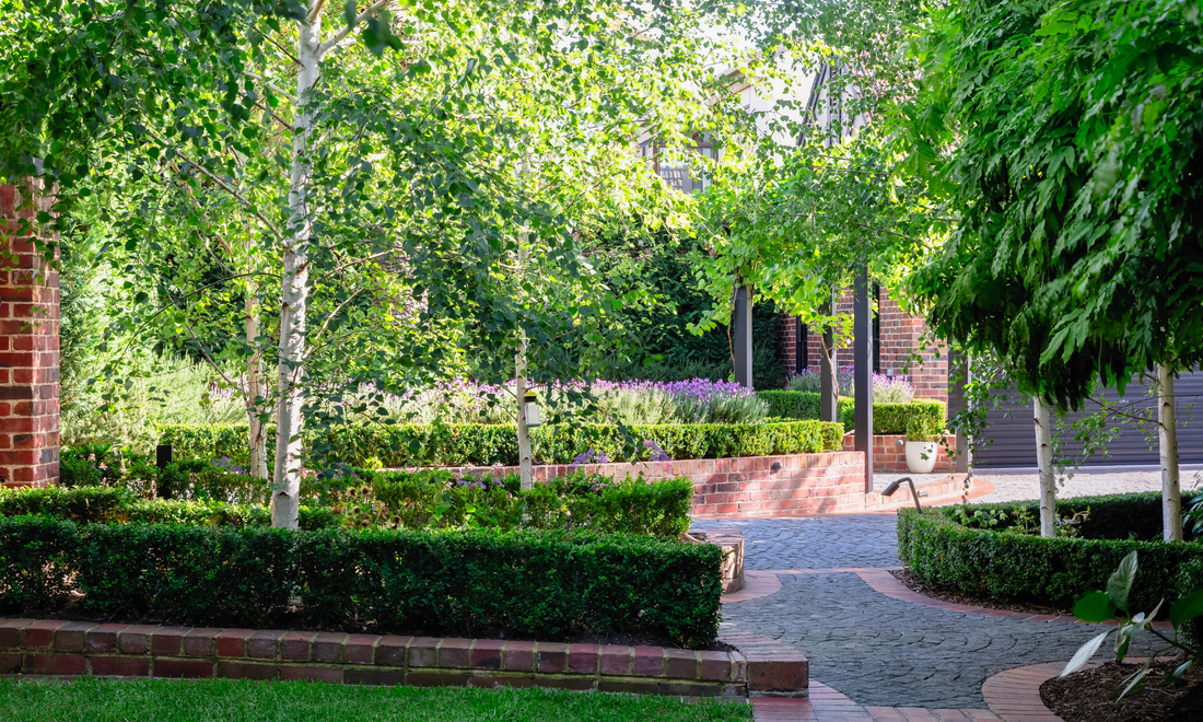 The Esplanade, Mornington Project