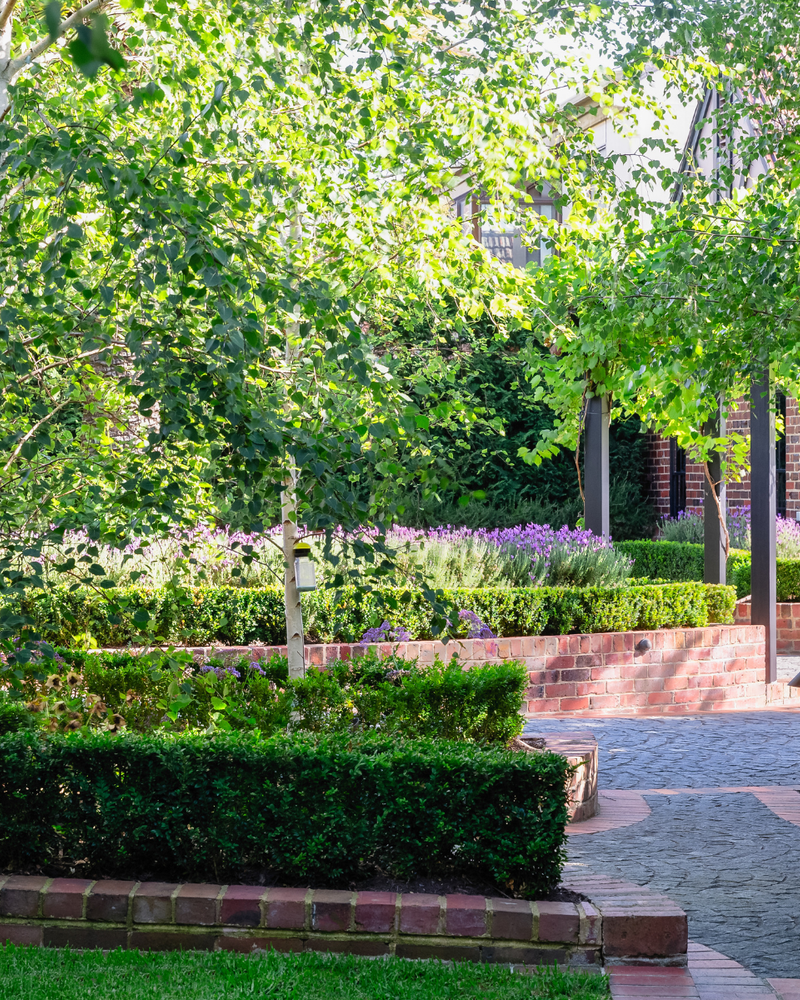 The Esplanade, Mornington Project