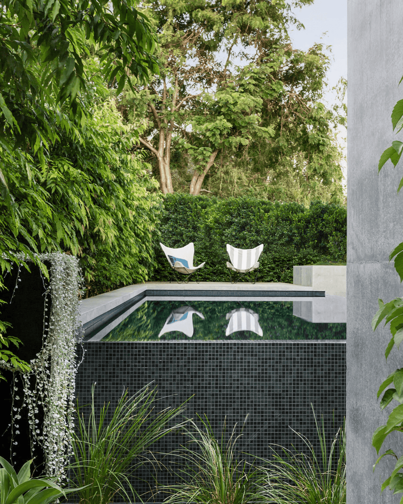 Our Top 6 Hedging Plant Recommendations: The Most Functional Picks