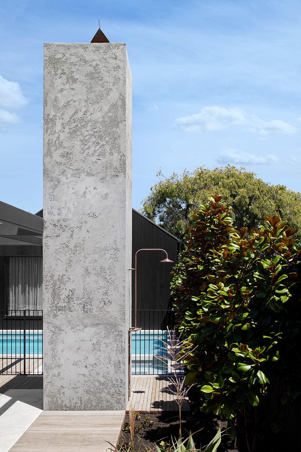 Magnolia Grandiflora ‘Teddy Bear' Evergreen Trees Direct