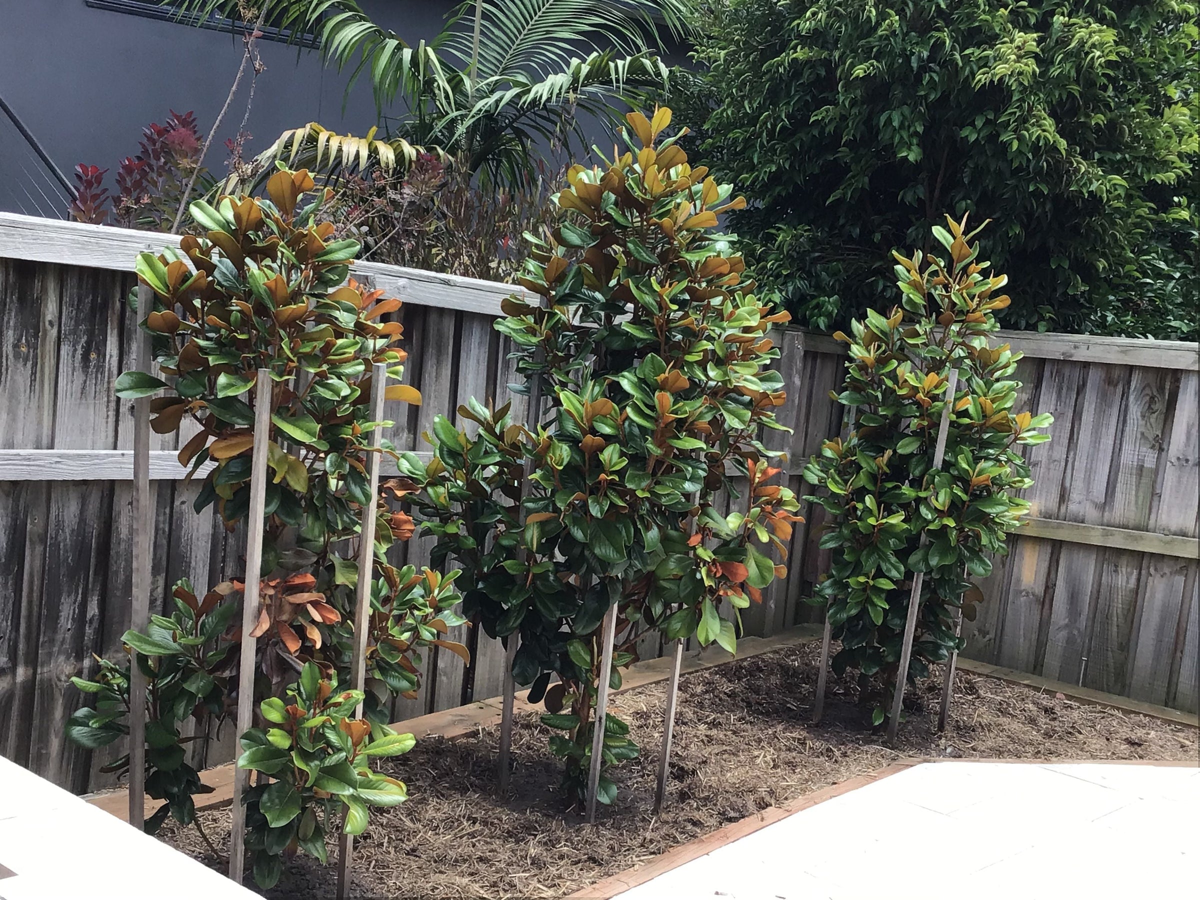 How to Plan a Garden That's Easy to Maintain
