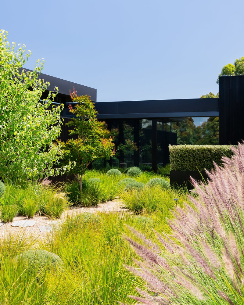 How to Choose the Right Trees for a Formal Garden Design