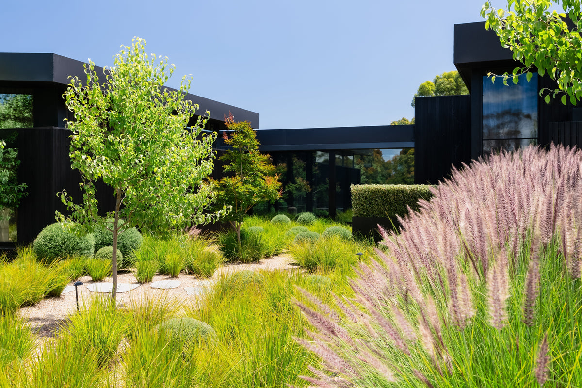 Right Tree Layout How to Choose the Right Trees for a Formal Garden Design