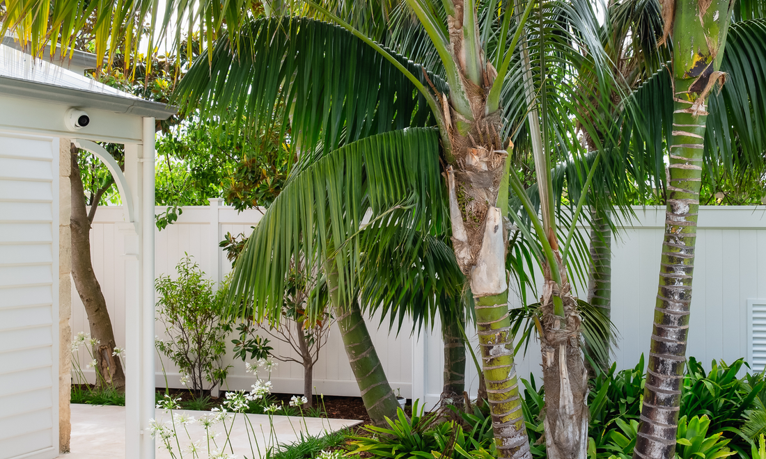 Sorrento, Victoria Landscaping Project