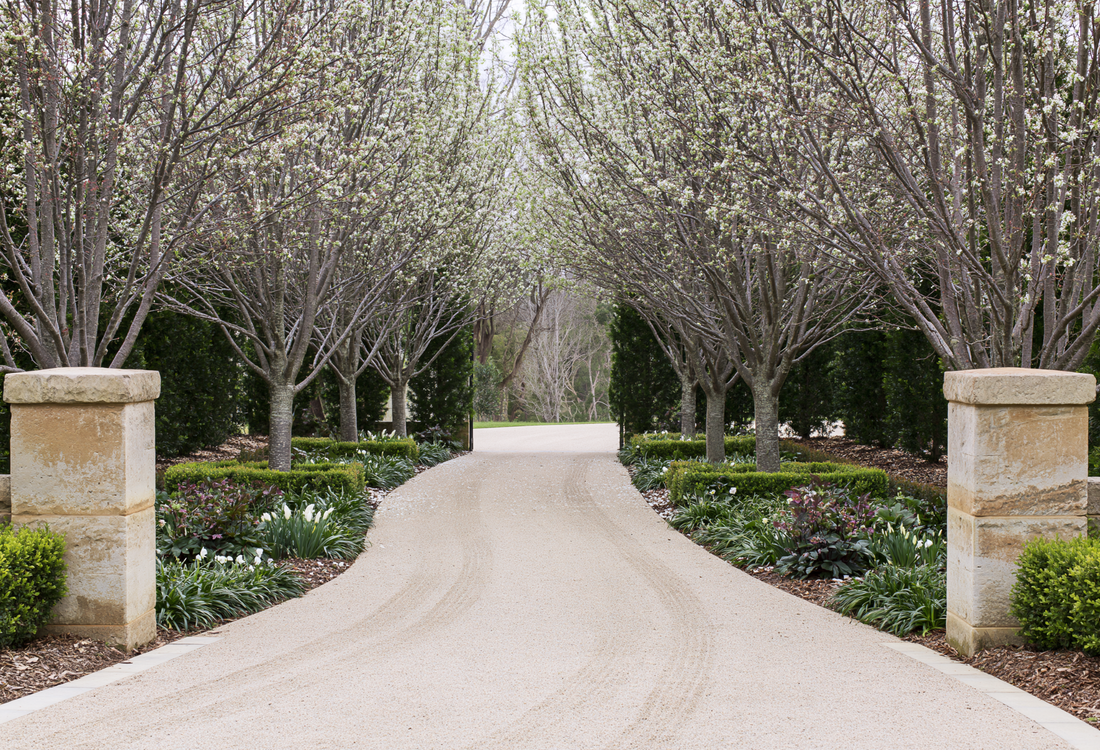 Top 5 Flowering Trees for a Show-Stopping Garden