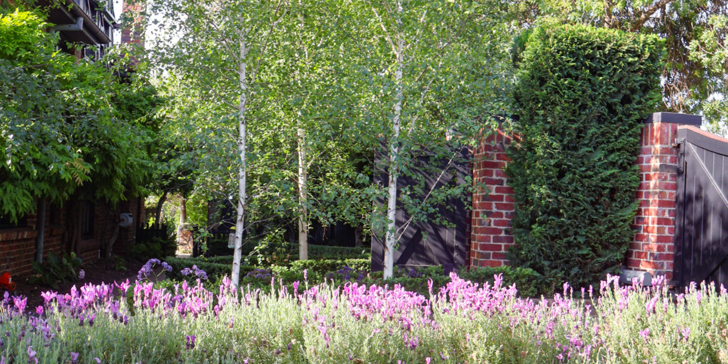 Best Trees for Frost-Prone Areas