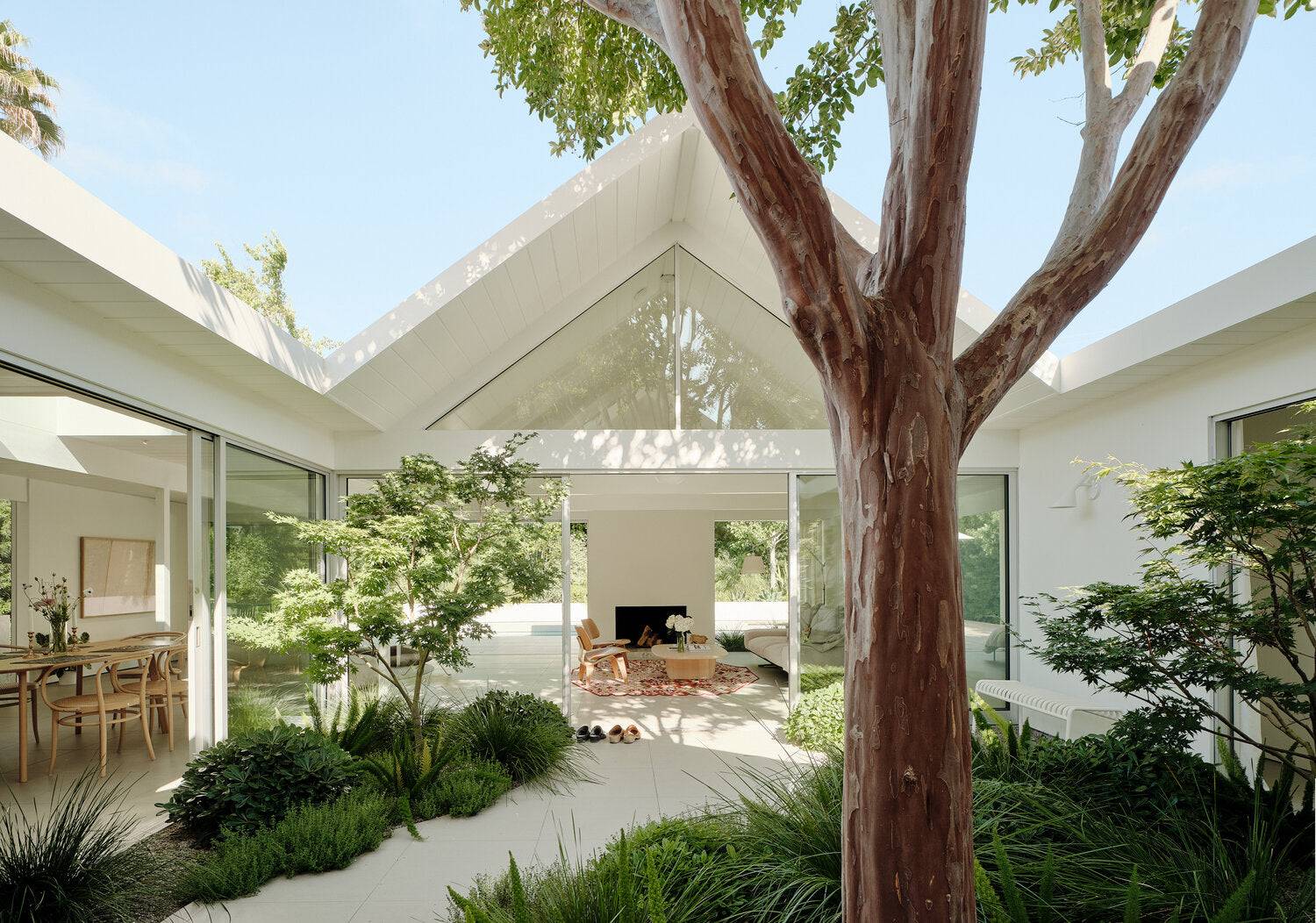 The Complete Crepe Myrtle Guide for Australia: Cultivars, Planting, Care