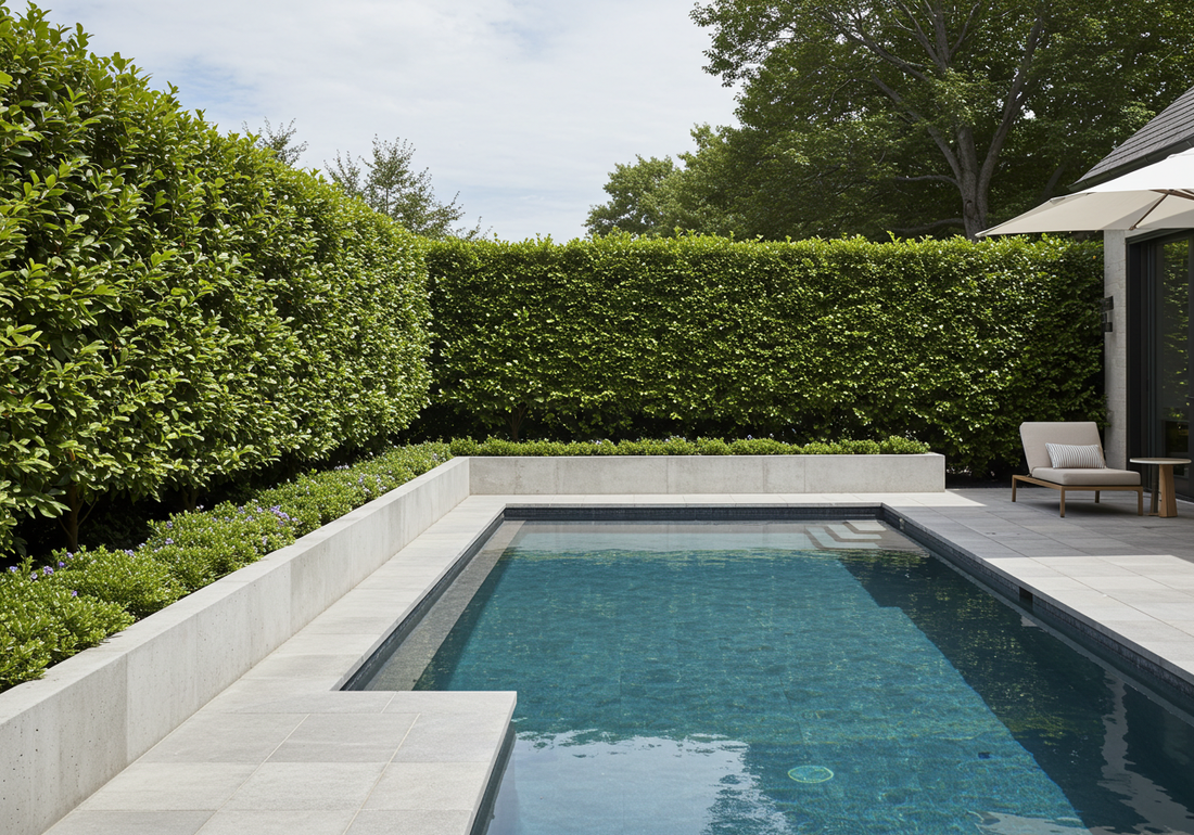 The Best Hedging Trees to Plant Poolside