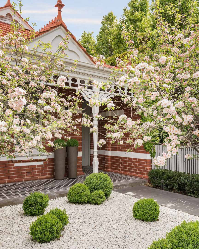 Best Feature Trees for Small Areas: 6 Compact Picks
