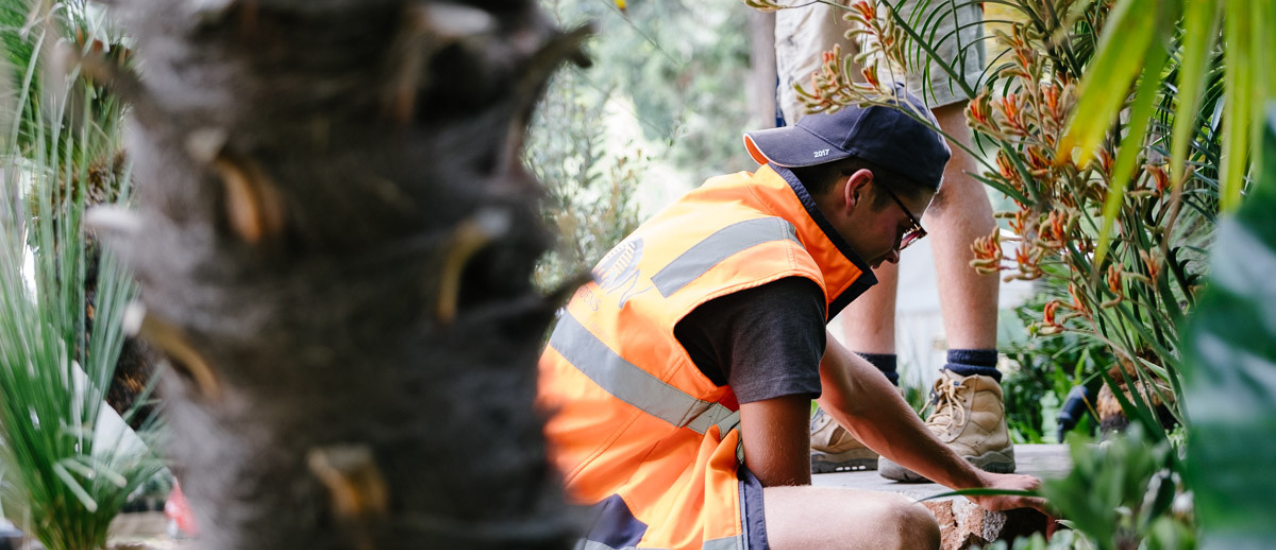 Commercial & Council Landscaping
