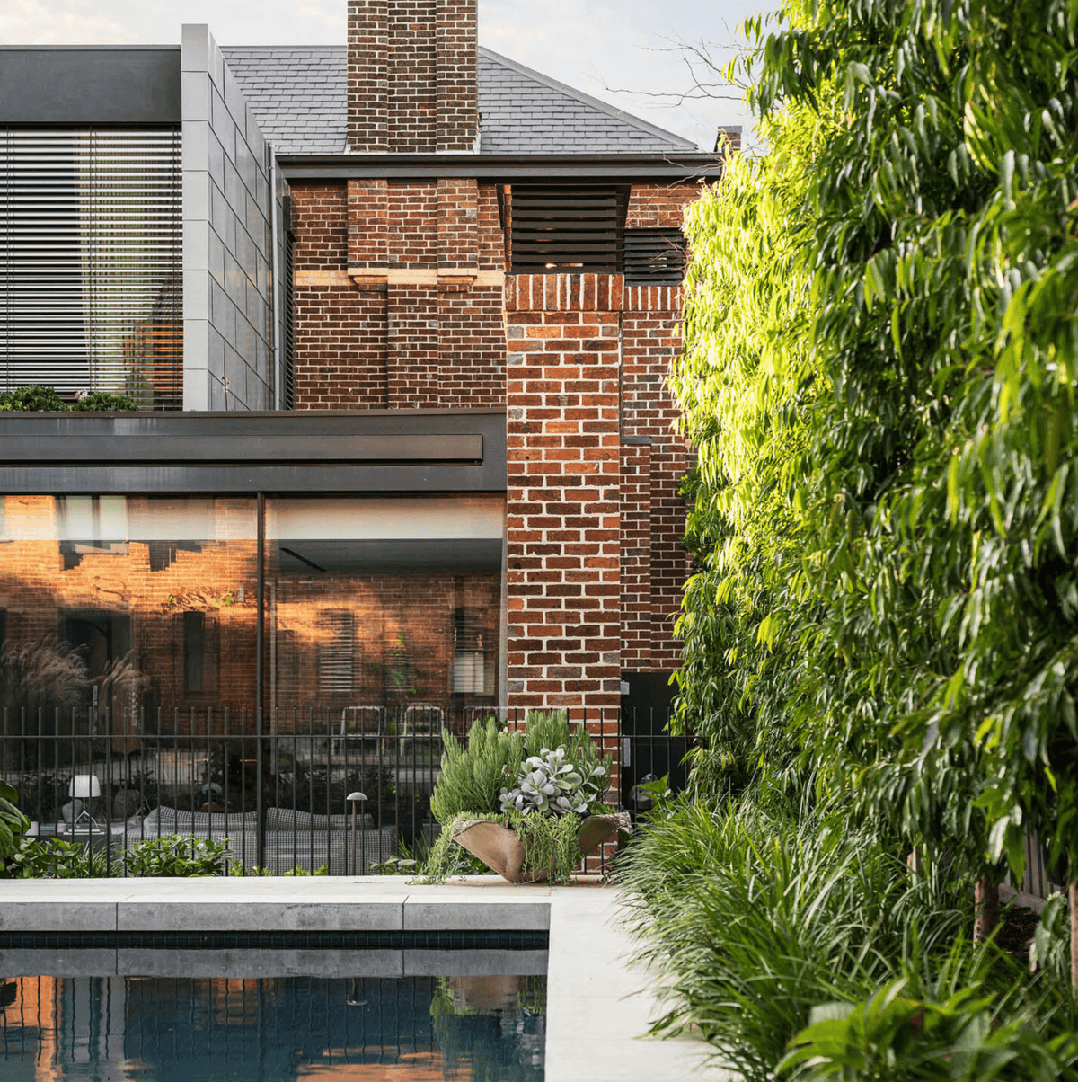 Crepe Myrtle Lagerstroemia indica 'Zuni' Evergreen Trees Direct