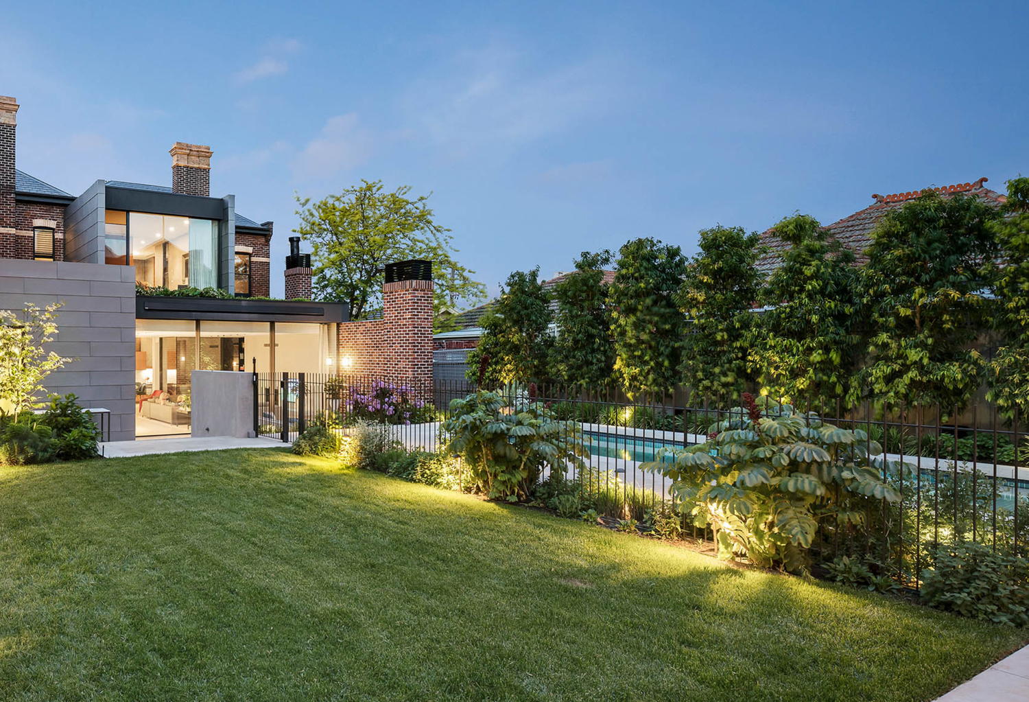 Lilly Pillies Evergreen Trees Direct