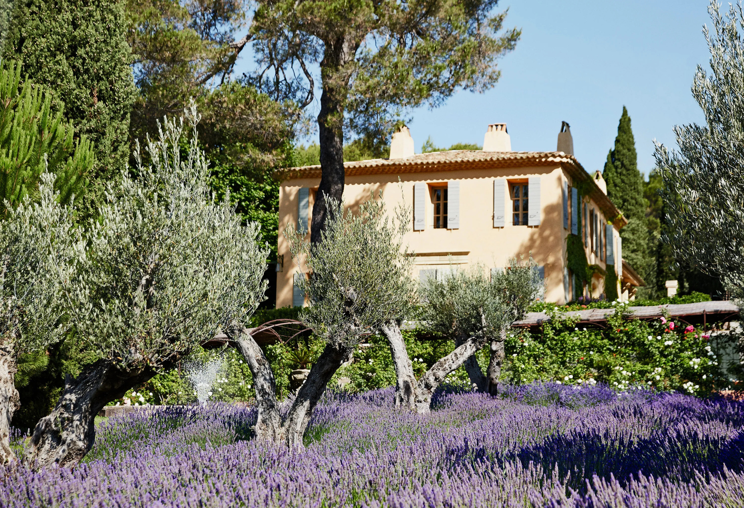 Mediterranean