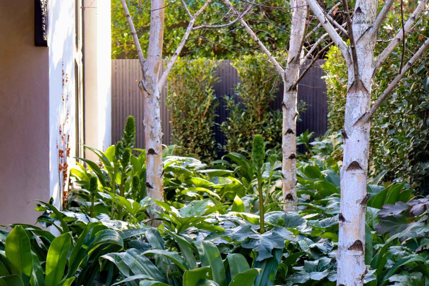 Lewisham Road, Prahran Project